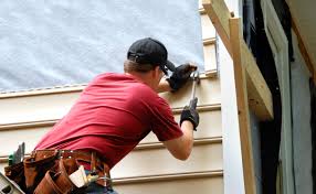 Best Historical Building Siding Restoration  in La Presa, CA